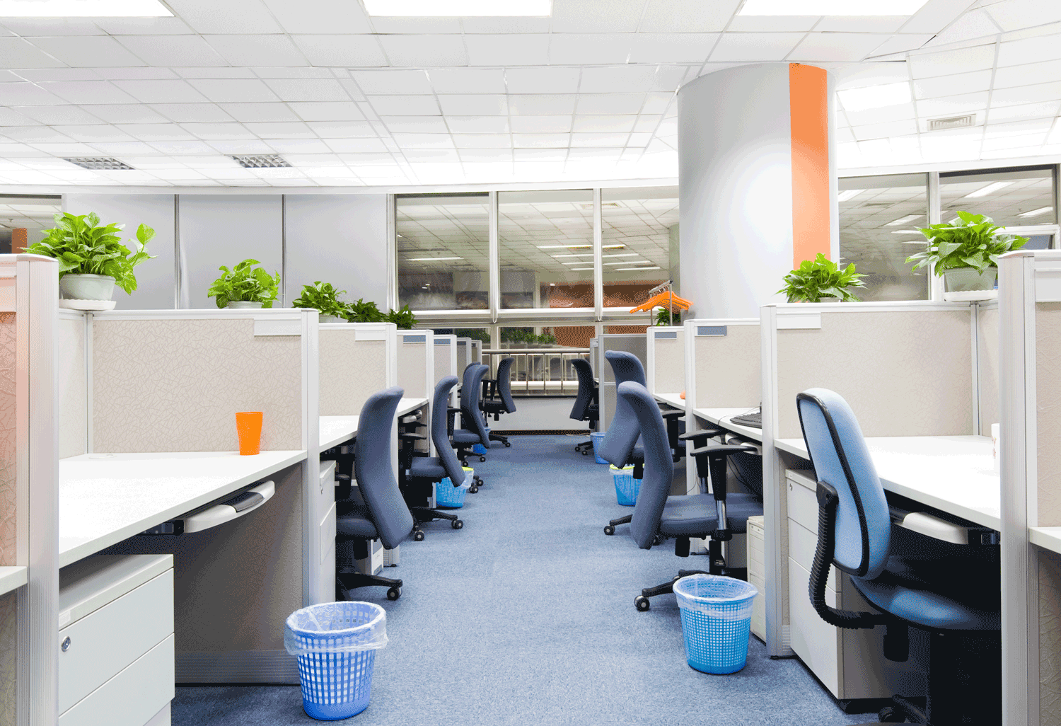 carpet_cleaning_office